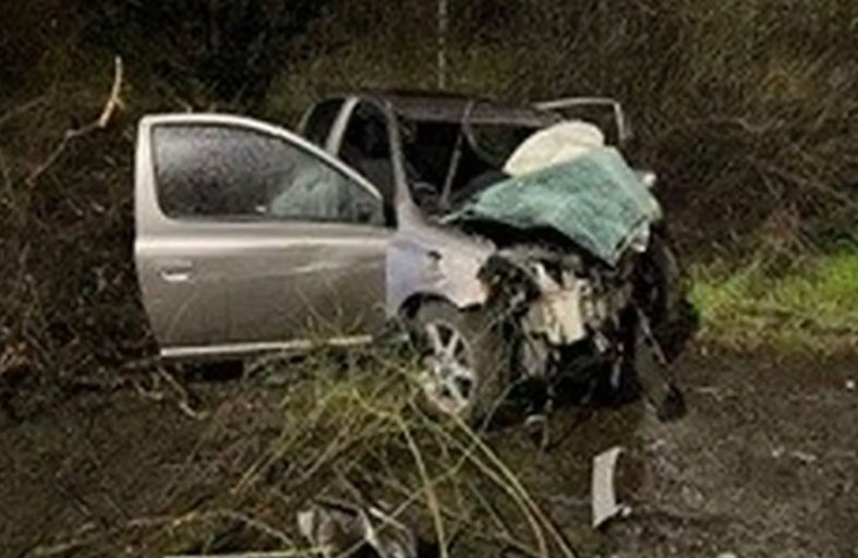 نجاة سائق من الموت بعدما غفا أثناء القيادة