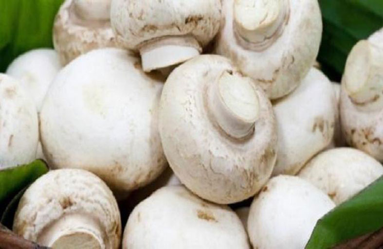 بسبب  فطر .. امرأة تتسبب في وفاة 3 أشخاص