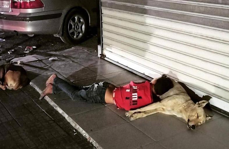 طفل مشرد يتخذ كلبا وسادة له