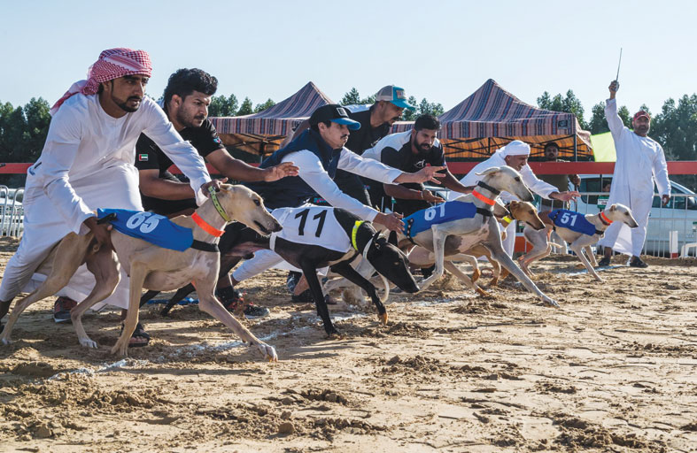 6 أشواط ختامية لبطولة السلق للمحترفين والهواة السبت المقبل