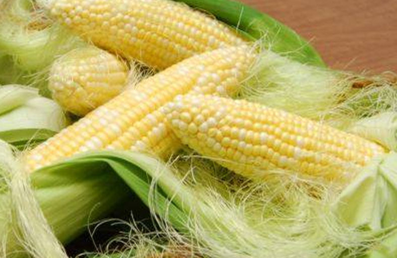 علماء يصنعون السكر من نفايات الذرة 