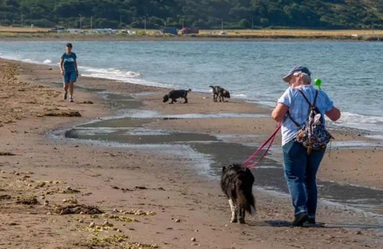نفوق كلب يكشف مياه شديدة السمية في بحيرة سياحية