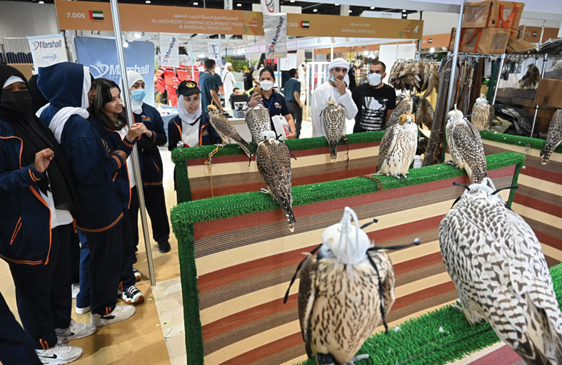 الصقارة بين الماضي والحاضر في معرض أبوظبي الدولي للصيد 2023