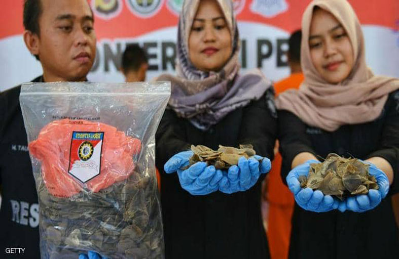 استمرار الاتجار بالمشتبه الأول وراء تفشي كورونا