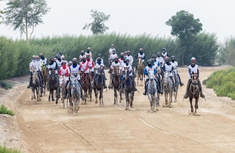 اليوم .. انطلاق كأس محمد بن راشد للقدرة في ختام النسخة الـ17 للمهرجان