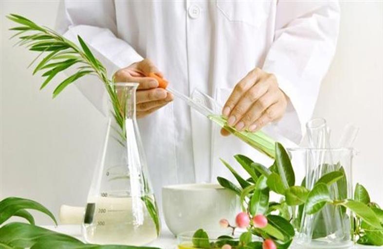 ما  مدى جدوى المهدئات النباتية؟