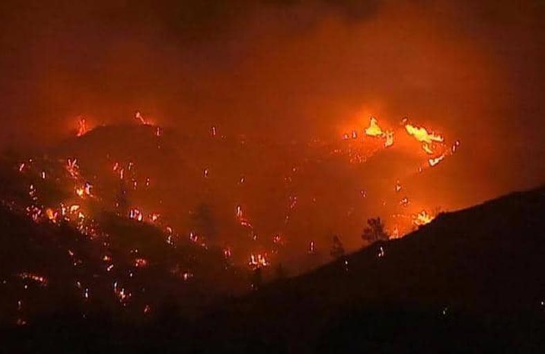 بعد حرائق الغابات.. حملات تطوعية لإنعاش رئة الجزائر