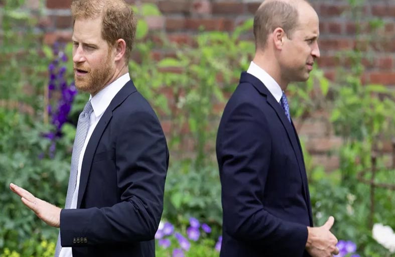 أسرار الغضب بين هاري ووليام