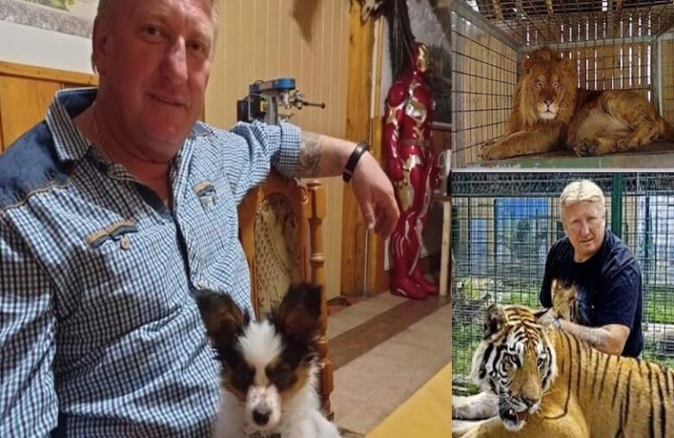 أسود تلتهم مربّيها 