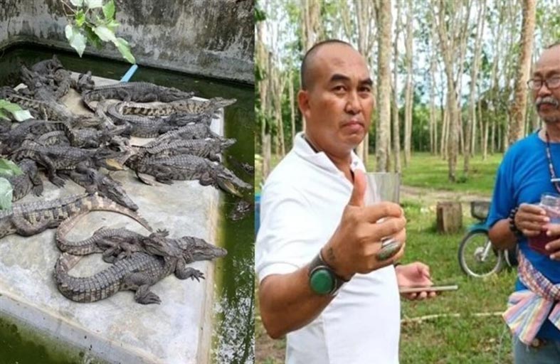 يشرب دم التماسيح يومياً 