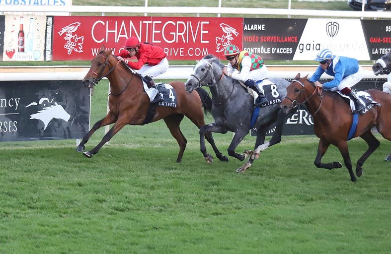 اليوم.. فرنسا وإسبانيا وكاليفورنيا تستضيف منافسات كأس الوثبة ضمن مهرجان منصور بن زايد للخيول