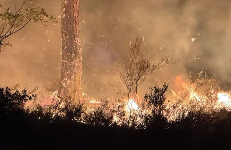 حريق هائل يلتهم منتجعاً في تركيا