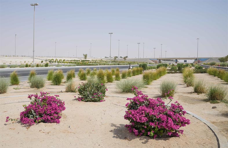 بلدية منطقة الظفرة تنجز مشروع تطوير وتحسين مدخل مدينة زايد