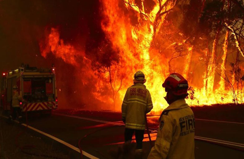 نفوق نصف مليار حيوان في حرائق أستراليا