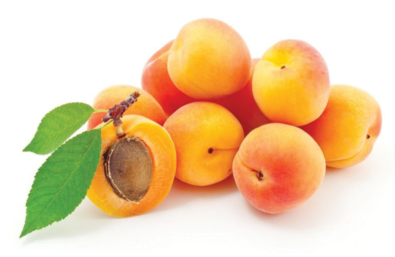 فوائد  المشمش 