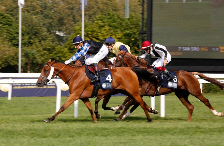 «جازمة عذبة» تكسب قمة إيطاليا وتتوج بطلة لكأس رئيس الدولة للخيول العربية