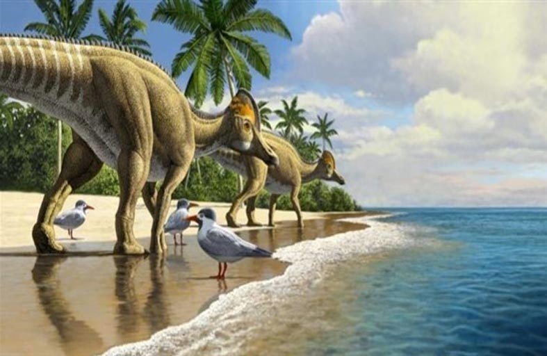اكتشاف حفرية لطائر عملاق عاش مع الديناصورات