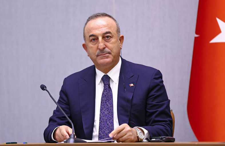 شمال قبرص عضو مراقب  في «منظمة الدول التركية» 