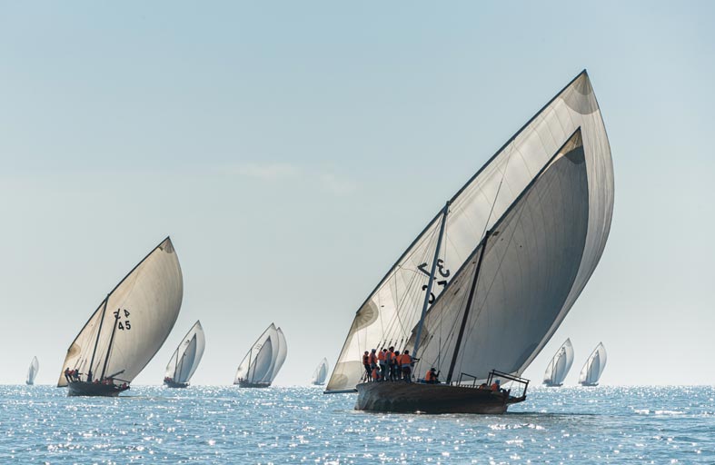 الرياح تؤجل سباق «مهرجان الشيخ زايد» الشراعي لمدة أسبوع