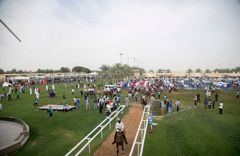 النسخة الـ16 لمهرجان ولي عهد دبي للقدرة تنطلق اليوم بجوائز تبلغ 5 ملايين درهم