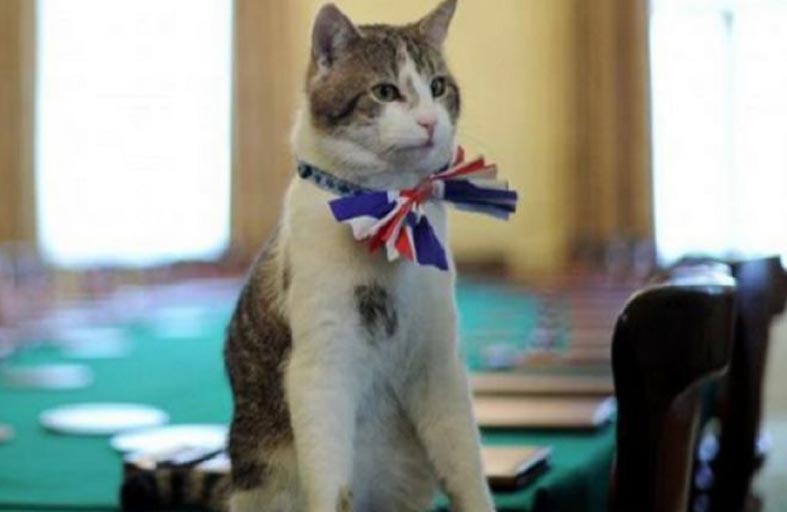 ما مصير القط لاري بعد مغادرة جونسون لدوانيننغ ستريت؟