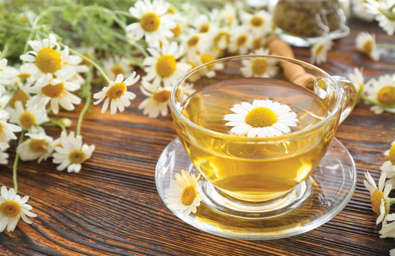 فوائد البابونج 