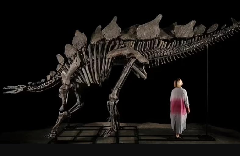 هيكل ديناصور للبيع بمقابل خيالي