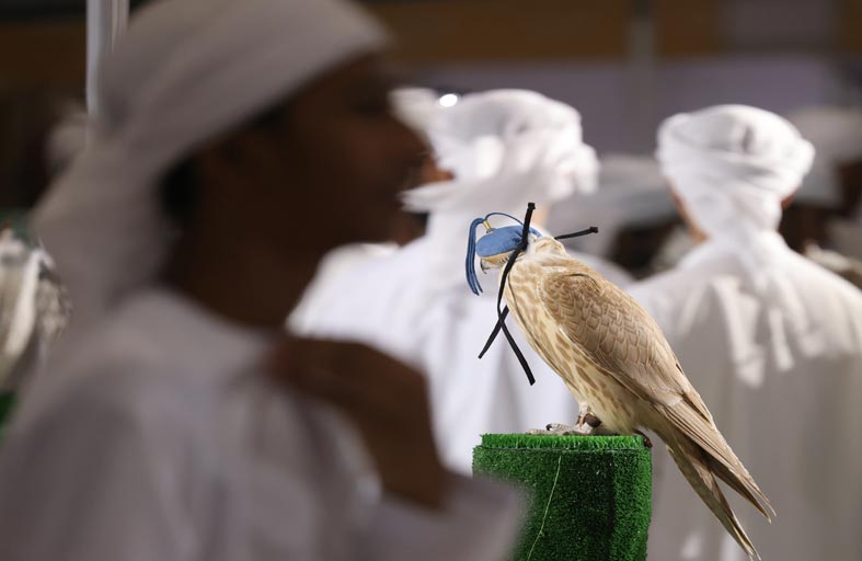 معرض الصيد والفروسية فرصة للزوار لتجربة المغامرات الخارجية