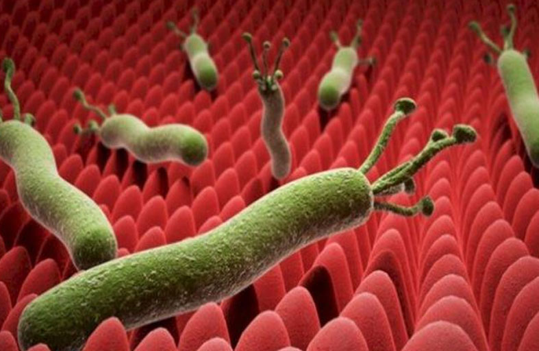 أمريكا تعلن عن أول إصابة بشرية بداء «الدودة الحلزونية»