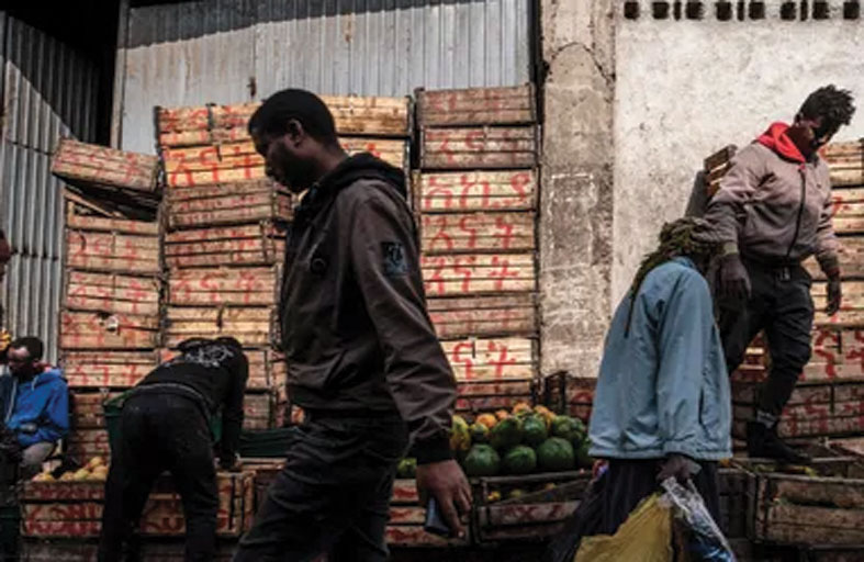 الجنوب.. منبع إنتاج الفاكهة في إثيوبيا