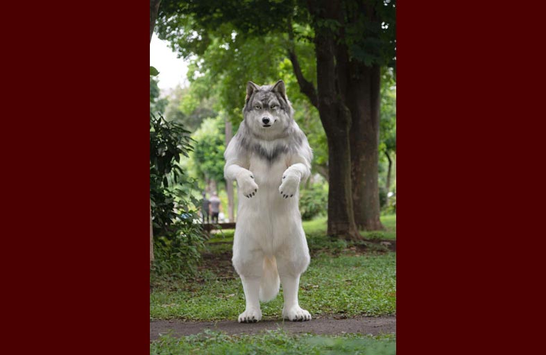 أنفق 23 ألف دولار ليصبح ذئبًا