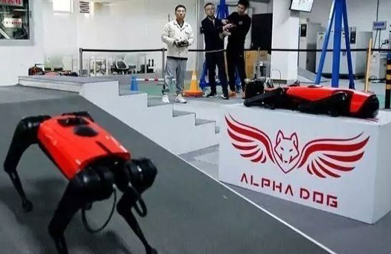 ألفا دوغ كلب لا ينبح ولا يعض..