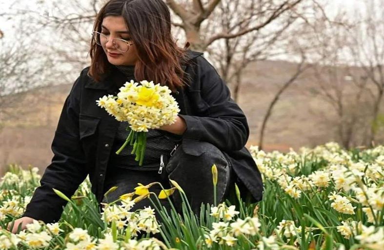 زراعة 50 مليون زهرة نرجس في كردستان 