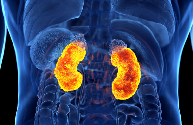 الكشف عن رابط بين صحة الفم وأمراض الكلى!