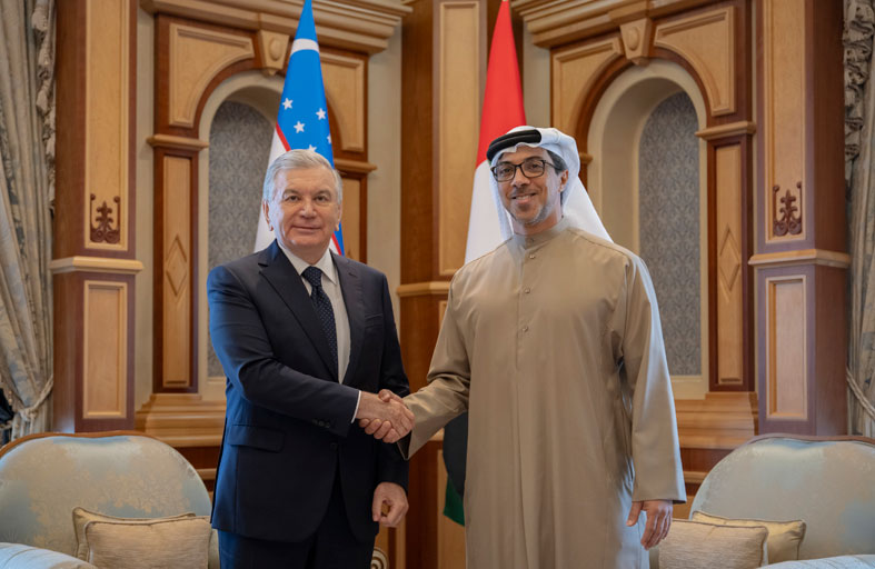 منصور بن زايد ورئيس أوزبكستان يبحثان علاقات التعاون 