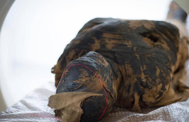 أثريون مصريون يفجرون مفاجأة بشأن المومياء الحامل