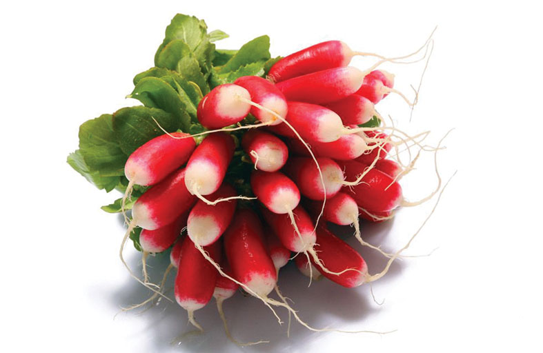     الفجل الحار 