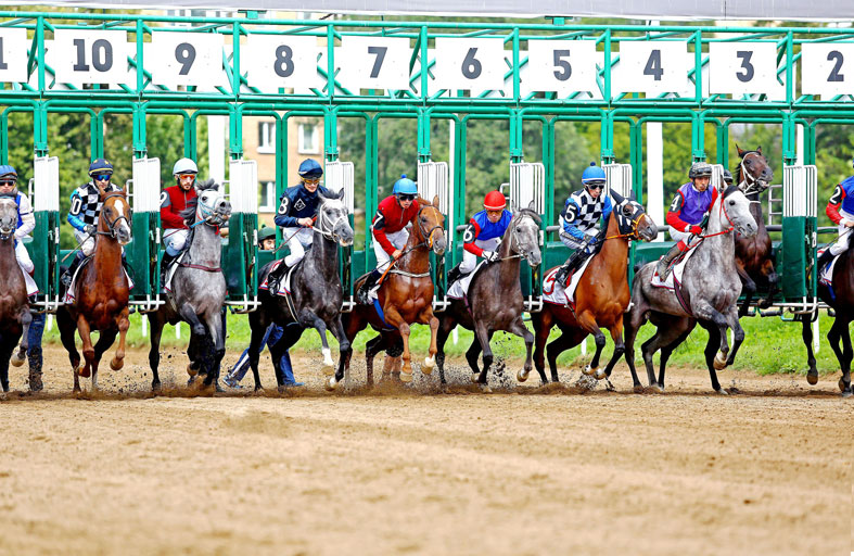 اليوم.. 9 خيول تتنافس في جولة روسيا لكأس رئيس الدولة للخيول العربية الأصيلة