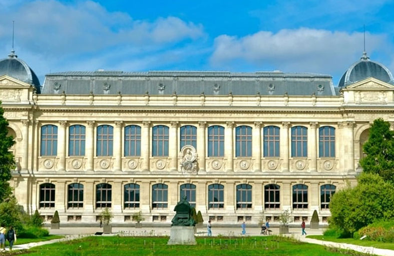 ثمنها 700 ألف دولار..لصوص يسرقون قطعاً ذهبية 