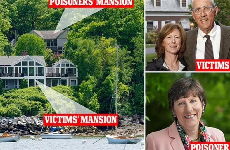 سمما أشجار الجيران لتحسين إطلالة قصرهما