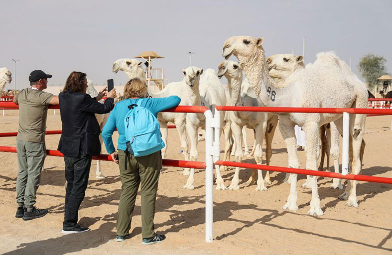 فعاليات ومسابقات مهرجان الظفرة تنطلق الأحد المقبل 