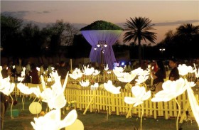 290 ألف زائر لمهرجان العين للزهور 2024 