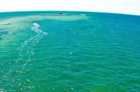 دراسة: محيطات الأرض قد تتحول إلى اللون الأرجواني في المستقبل