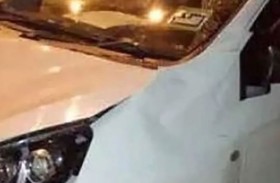 انتقاما لصغيرها.. 5 أفيال تدهس سيارة 