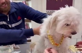 تهدي كلبها قلادة ذهبية بـ13 مليون دينار