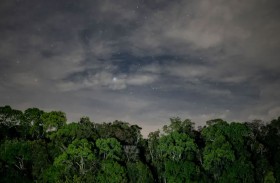 نشطاء أمازون ينعون وفاة رجل الحفرة