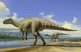 اكتشاف ديناصور عاش قبل 66 مليون سنة في المغرب