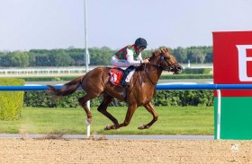 أبطال «سوبر ساترداي» إلى «مونديال» كأس دبي العالمي للخيول 