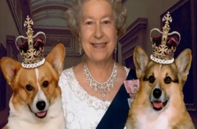 ما مصير كلاب وخيول الملكة إليزابيث؟