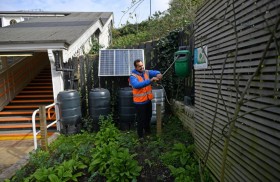 مترو لندن.. ملاذ للنحل والزهور والقنافذ